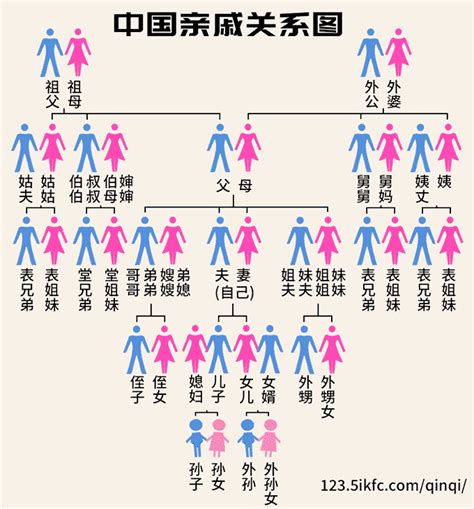 輩份排列|辈分